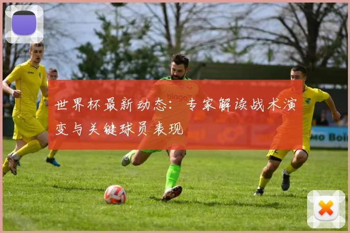 世界杯最新动态:专家解读战术演变与关键球员表现